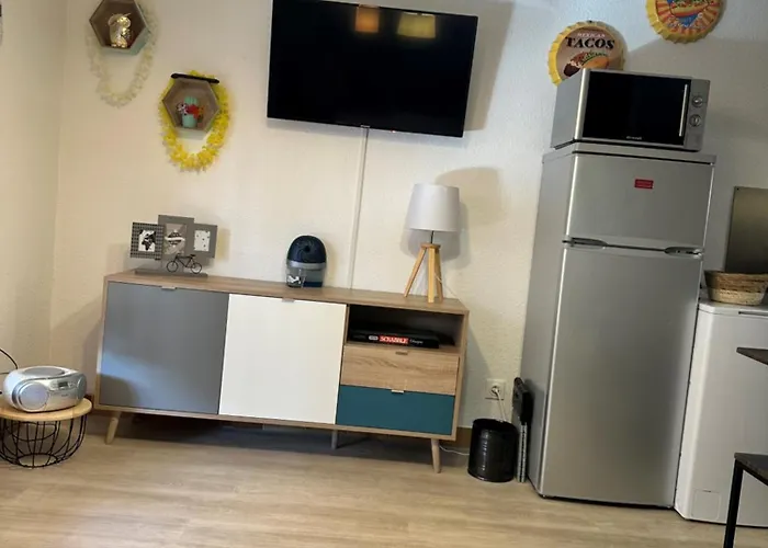 Cap Eureka Apartman Agde